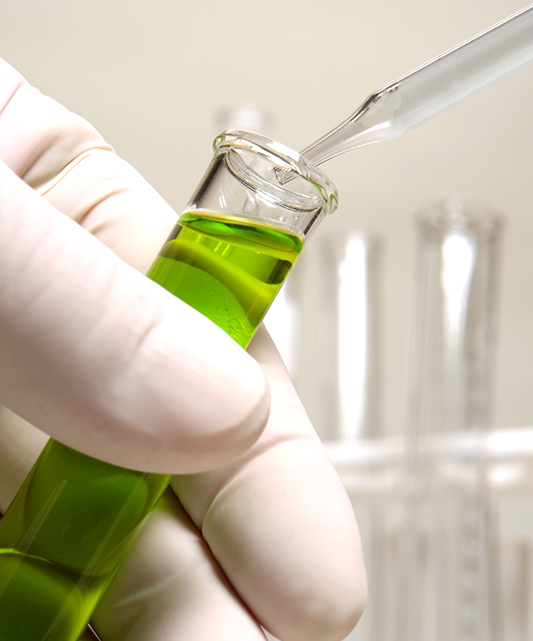 Investigación y desarrollo